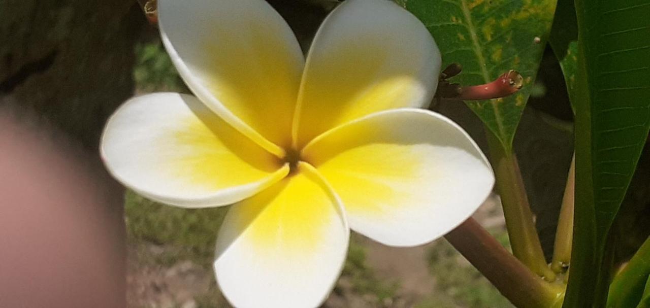 Kaila Na Ua Resort Korotogo Buitenkant foto